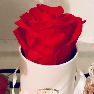 Meet your Posher, Hidden 🌹